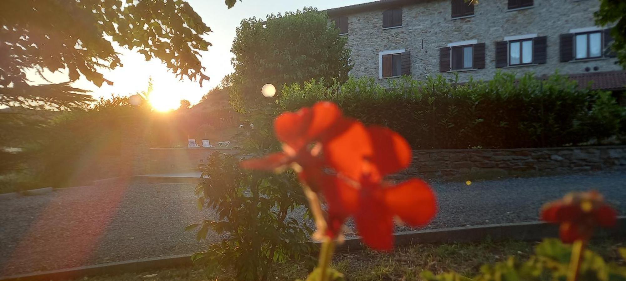 Cascina Il Gelso Bed & Breakfast Mornese Exterior photo